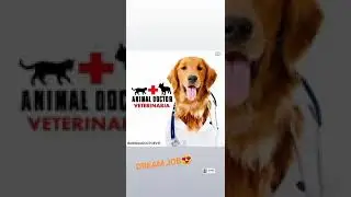 veterinary whatsapp status