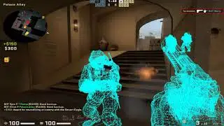 [UNDETECTED 2021] CSGO Wallhacks made ENTIRELY WITH PYTHON!