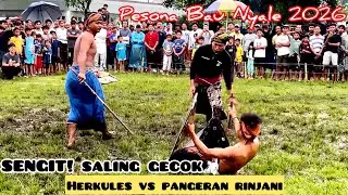 SALING GECOK🔥HERKULES VS PANGERAN RINJANI || PERESEAN BAU NYALE