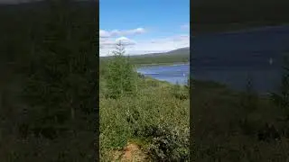 Черский. Окрестности,Пантелейха,Комарок
