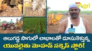Aloo Gadda, Potato Farming in Telugu | ఆలుగడ్డ సాగులో లాభాలతో దూసుకెళ్తున్న యువరైతు..! Tone Agri