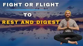 Breathwork for Empath's & HSP's | Nervous System Reset
