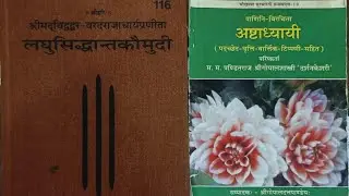 267. लघुसिद्धान्तकौमुदी -  अथ प्रागिवीयाः स्वामी दिनेशानन्द गिरि द्वारा