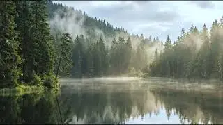 The Taiga is Vast - Deep Focus Track - 8-13 Hertz