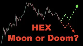 Hex Price Prediction in 2022 (UPDATE)