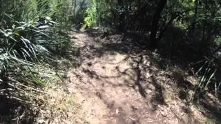 Bobbin Head Hike Time Lapse