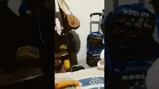 mira las flores  kiko solo mira las flores
