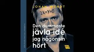 Den dummaste j&auml;vla id&eacute; jag n&aring;gonsin h&ouml;rt - Johan Wendt