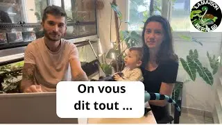 On vous dit tout...