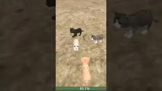 #music #online #funny #cat #сваты6 #animals #games #warriorcats #gaming