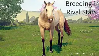 BREEDING HORSES IN RIVAL STARS ALMOST A EPIC FAIL