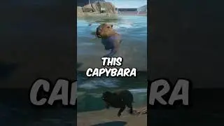 Capybara against an ULTIMATE WATER RACE #shorts #planetzoo