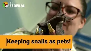 How German &lsquo;snail-fluencer&rsquo; turns hobby into social media hit