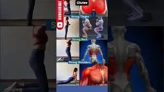 Strongest lower body and a stable uper body workout #fullbodystrength #glutesworkout #thighsstrenth