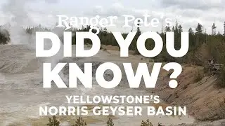 Ranger Pete's DID YOU KNOW: Yellowstone's Norris Geyser Basin