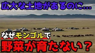 なぜモンゴルは農業に向かないのか？草原の国が畑を持たない理由