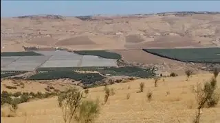 أرض محفظة  7  مليون للهكتار توجد بسدي حرازم فاس 00212675813663//0660304550