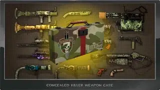 TF2 Concealed Killer Case Unbox