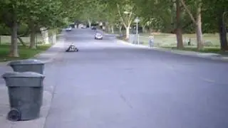 My 80 cc swedetech shifter Kart