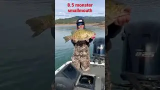 8.5 monster smallmouth! #fishing #6thsensefishing #bassfishing #waterlandco #bass #smallmouth