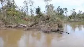 Tangipahoa River Sound