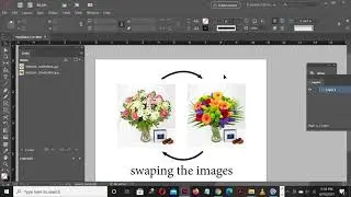 INDESIGN Swap Images