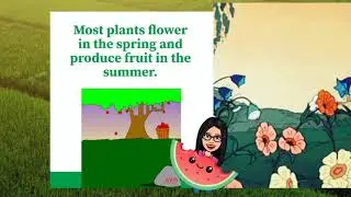Weather effects on plants 🌵
