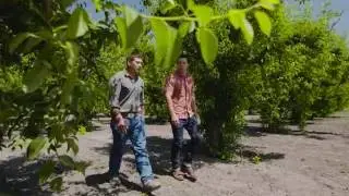 Farm to Fan: California Pear Edition