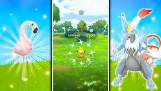GROOKEY COMMUNITY DAY LEAK IN POKEMON GO! Kyurem Fusion RAID DAY / New Paldean Pokemon Debuts!