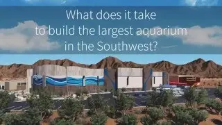 OdySea Aquarium Construction Trivia