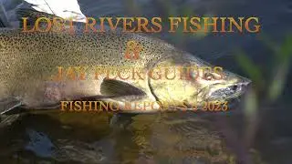 Salmon River - Fall Fishing Report (Week 6)