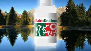Вебинар PowerMatrix 11 августа 2015 MatrixRelictum