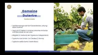 2025 webinair series -&nbsp;Chenin Blanc: A style- defining&nbsp;grape variety of the Loire