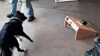 Brian's homemade ball thrower