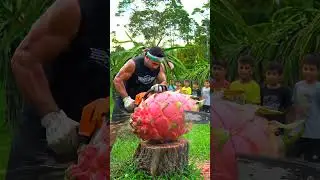 Cutting Open a Huge Dragon Fruit with a Chainsaw #dragon #cuttingskills #giantfood