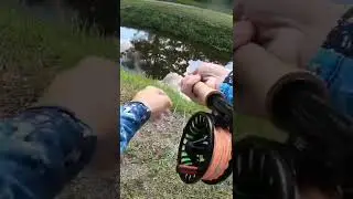 Fly Fishing | Almost had a GOOD SNOOK on the fly