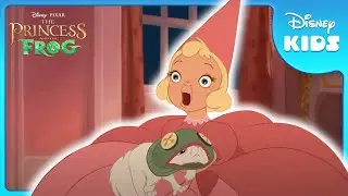 Charlotte Dresses The Cat as a FROG! 🐸  | The Princess & The Frog | Disney Kids