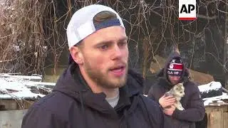 'Heartbroken' Kenworthy visits South Korean dog meat farm
