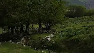 Сайрон