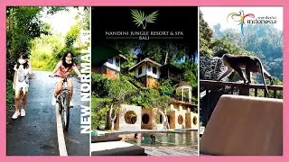 New Normal at Nandini Jungle Resort and Spa, Bali | Toy Joy Channel