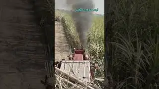 I'm sitting in a top of tractor 🥶#its a very dangerous view #chak the power of beal rouse tractor 😱