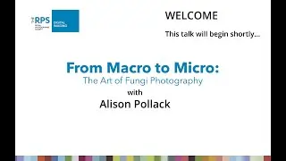 RPS Digital Imaging &mdash; От макро до микро: искусство фотографии грибов с Элисон Поллак