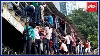 Elphinstone Stampede Probe Report Blames Heavy Rains