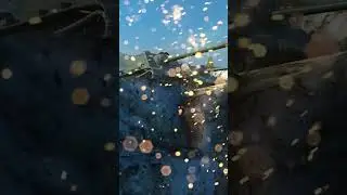 КАЖДЫЙ ПОЛУЧИТ БЕСПЛАТНЫЙ СНЕЖНЫЙ ШАР В WOT BLITZ!