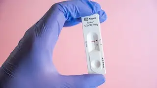 Calls for free rapid antigen tests amid Omicron surge