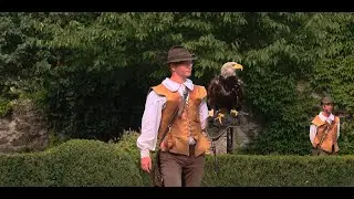 Falkenschau auf der Rosenburg m  Hedy & Martin 2.9.2023 2160p UHD