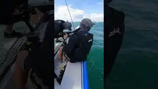 Extreme 40 Starting Battle - Moreton Bay Multihull Regatta