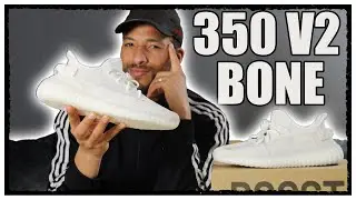 YEEZY 350 V2 BONE Bester Yeezy seit langem? #yeezy #sneakers #bashkickz