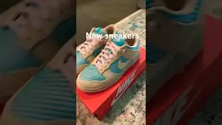 My first pair of Nike sb