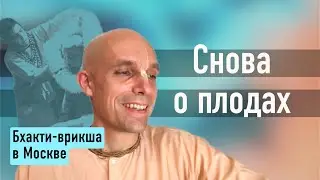 2023-03-04 &mdash; Снова о плодах. Бхакти-врикша в Москве (Мадана-мохан дас)